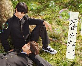 秋霞久久精品国产精品海报剧照