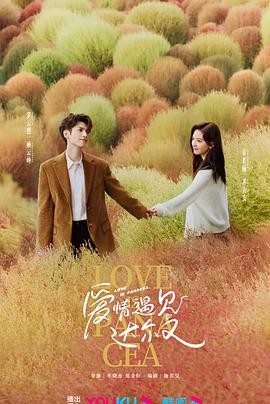 搜操逼的黄色网站海报剧照